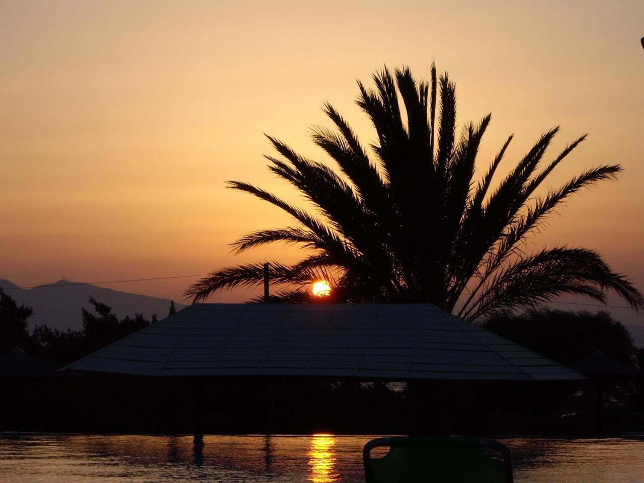 אליקו ביץ' Villa Faros Small Hotel & Restaurant מראה חיצוני תמונה