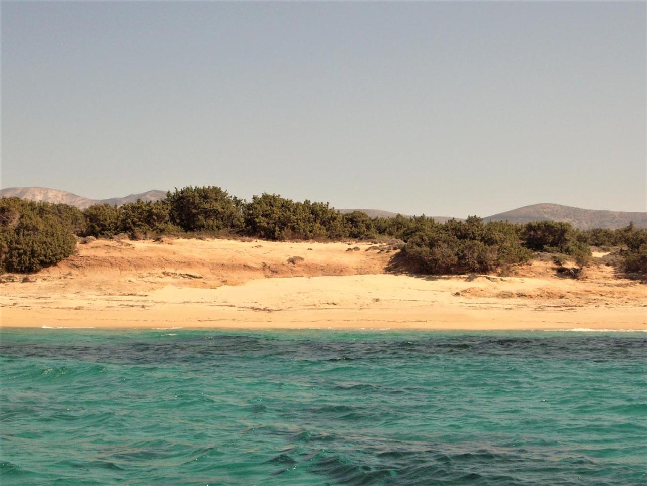 אליקו ביץ' Villa Faros Small Hotel & Restaurant מראה חיצוני תמונה