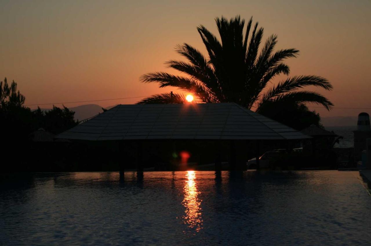 אליקו ביץ' Villa Faros Small Hotel & Restaurant מראה חיצוני תמונה